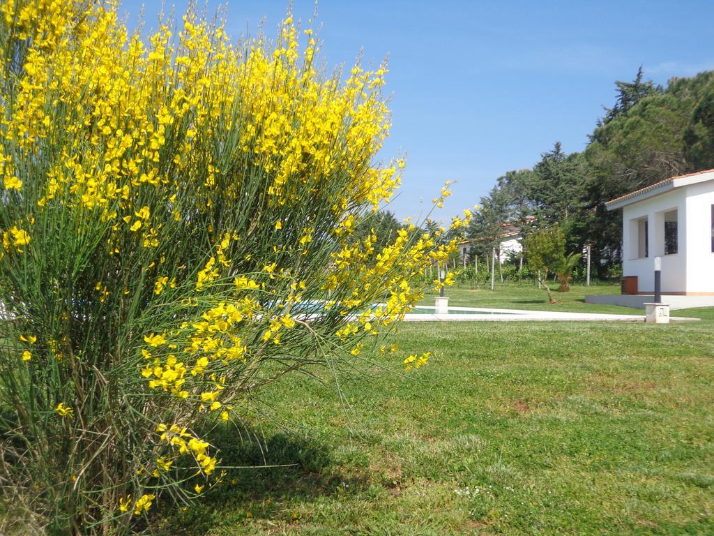 Agriturismo San Giuseppe Gavorrano Exterior photo